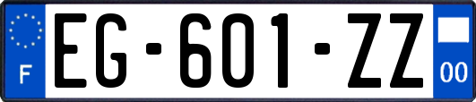 EG-601-ZZ