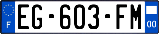 EG-603-FM