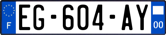 EG-604-AY