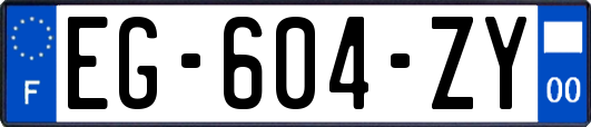 EG-604-ZY