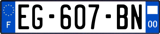 EG-607-BN