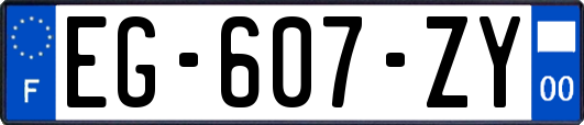 EG-607-ZY