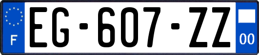 EG-607-ZZ
