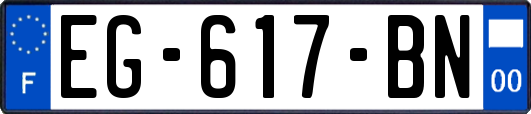 EG-617-BN