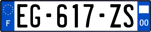 EG-617-ZS