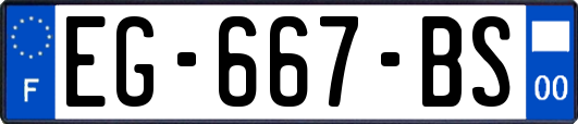 EG-667-BS