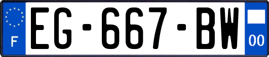 EG-667-BW