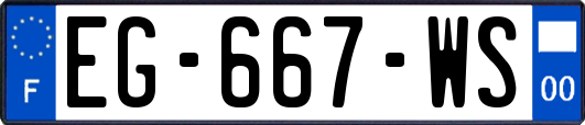 EG-667-WS
