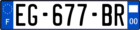 EG-677-BR