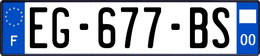 EG-677-BS