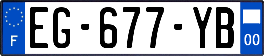 EG-677-YB