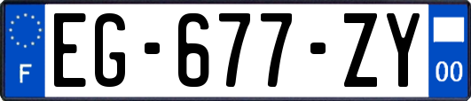 EG-677-ZY