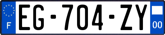 EG-704-ZY