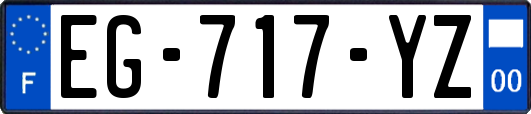 EG-717-YZ