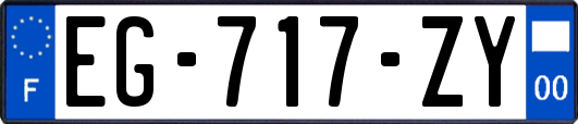 EG-717-ZY