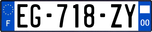 EG-718-ZY