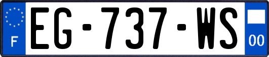 EG-737-WS