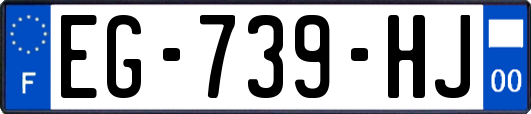 EG-739-HJ