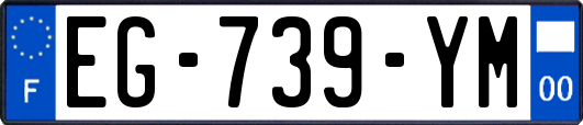 EG-739-YM