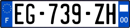 EG-739-ZH