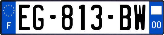 EG-813-BW