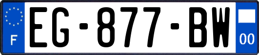 EG-877-BW