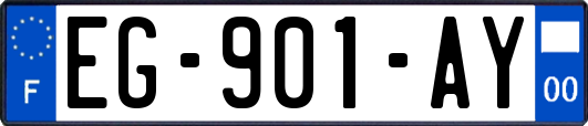 EG-901-AY