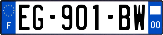 EG-901-BW