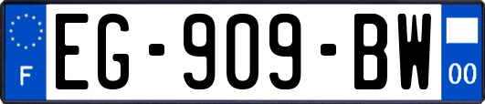 EG-909-BW