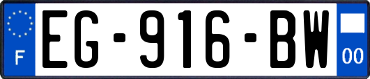 EG-916-BW