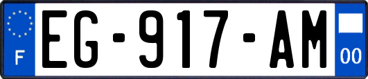 EG-917-AM