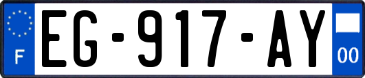 EG-917-AY