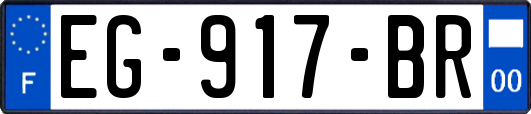 EG-917-BR