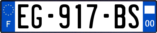 EG-917-BS