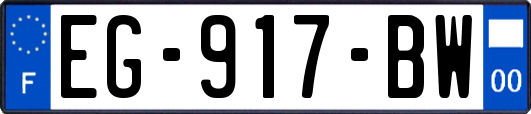 EG-917-BW