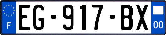 EG-917-BX