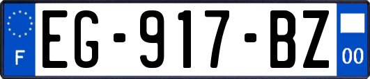 EG-917-BZ