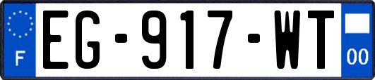 EG-917-WT