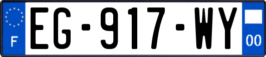 EG-917-WY