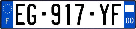 EG-917-YF