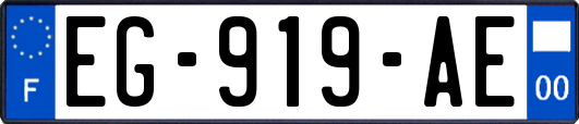 EG-919-AE