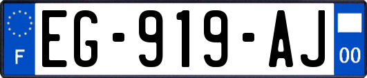 EG-919-AJ