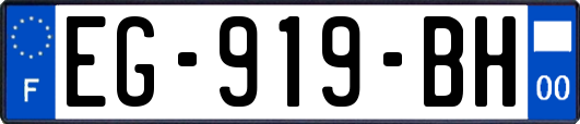 EG-919-BH