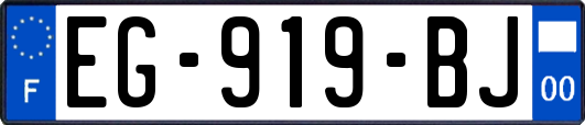 EG-919-BJ