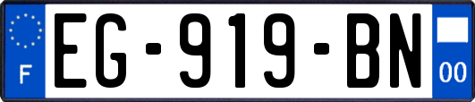 EG-919-BN