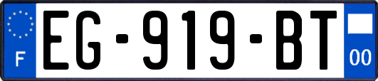 EG-919-BT