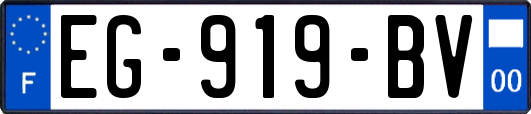 EG-919-BV