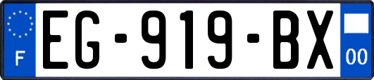 EG-919-BX