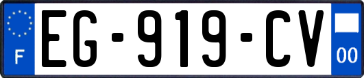 EG-919-CV