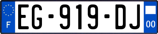 EG-919-DJ